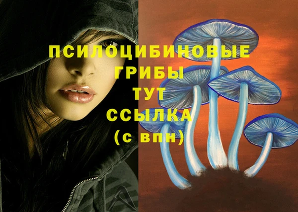 прущие грибы Арсеньев