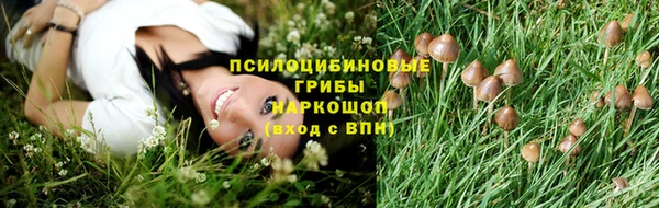 прущие грибы Арсеньев
